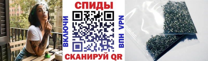mega вход Аргун Бутират буратино