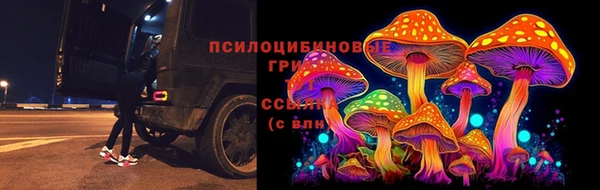ПСИЛОЦИБИНОВЫЕ ГРИБЫ Алексин