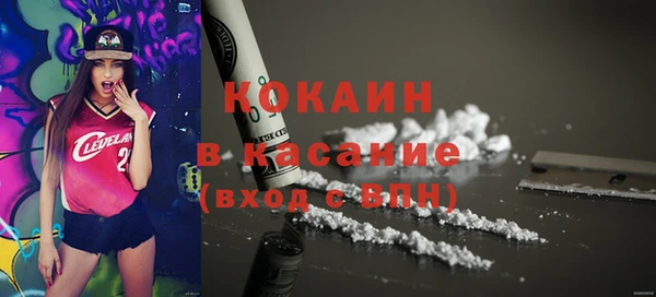ПСИЛОЦИБИНОВЫЕ ГРИБЫ Алексин