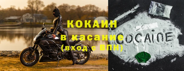 шишки Алексеевка